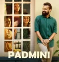 Film India Sub Indo Padmini (2023)